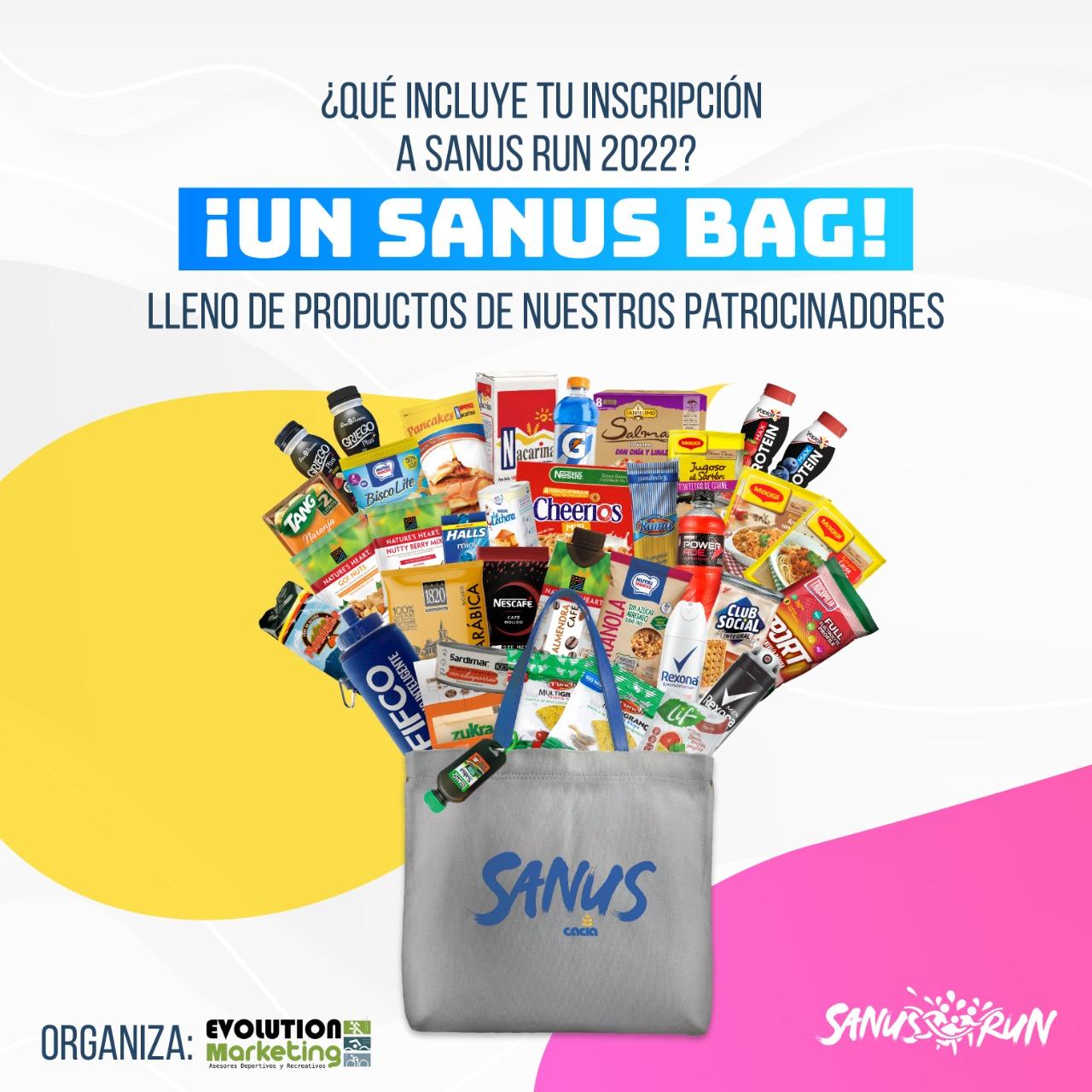 Sanus Bag